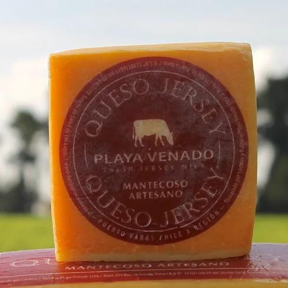 Queso Mantecoso Mini Fundo Playa Venado 500 Gr - FUNDO PLAYA VENADO - Aldea Nativa