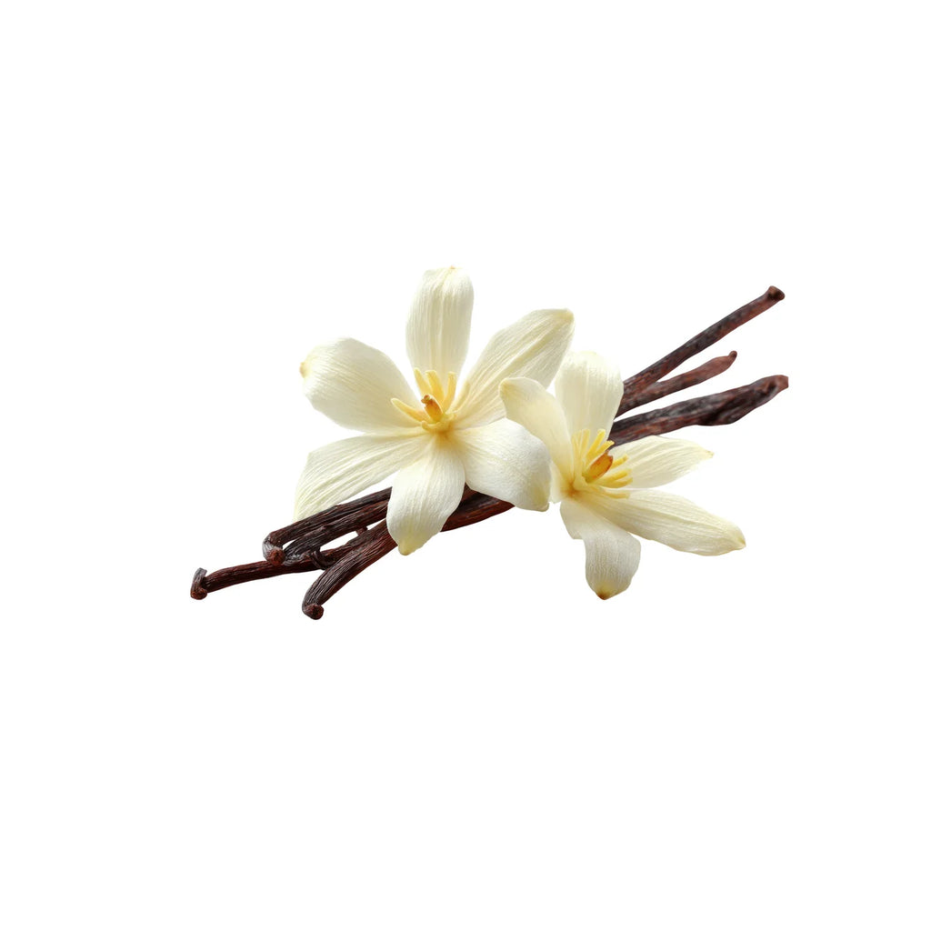 Barra Proteica Vainilla Temptation con Chocolate Blanco UN SWEET LIFE