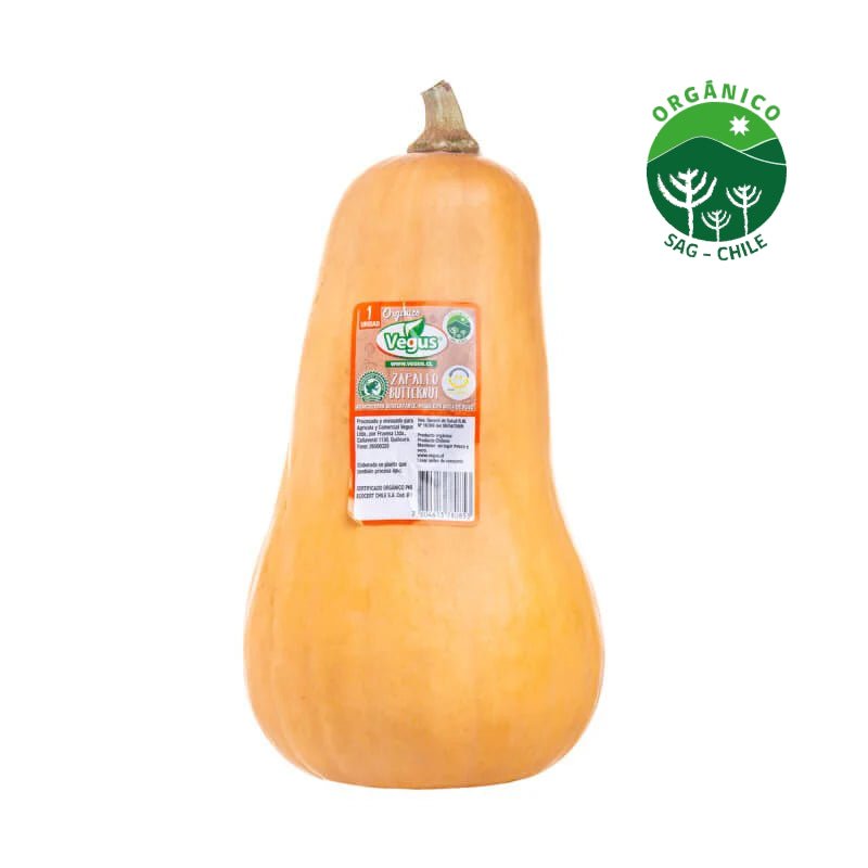 Zapallo Butternut orgánico un - VEGUS - Aldea Nativa