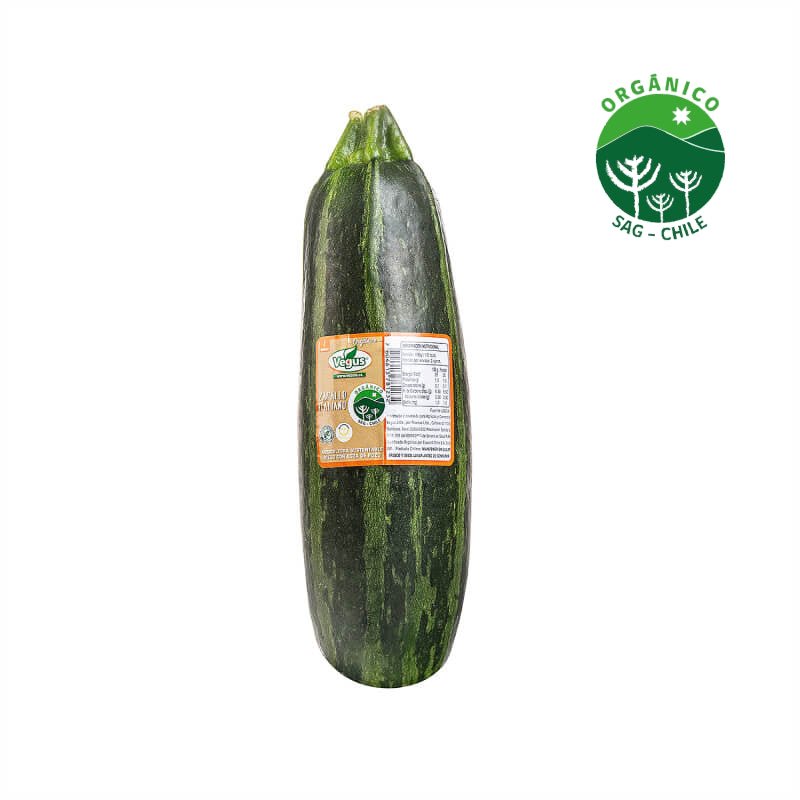 Zapallo italiano orgánico un - VEGUS - Aldea Nativa