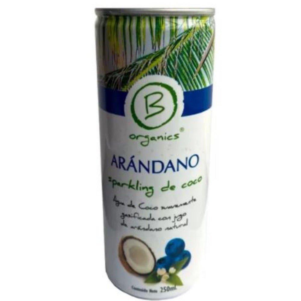 Agua De Coco Y Arándano Gasificada 250 Ml - B ORGANICS - Aldea Nativa
